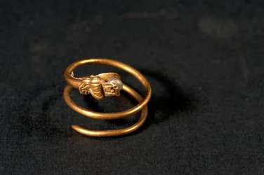 Ring mit einer Perle in Form einer Schlange (Gold und Perle)